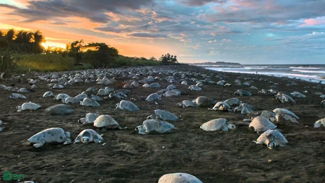 Land in Cuajiniquil, Guanacaste Province, Costa Rica 2 - 17814541