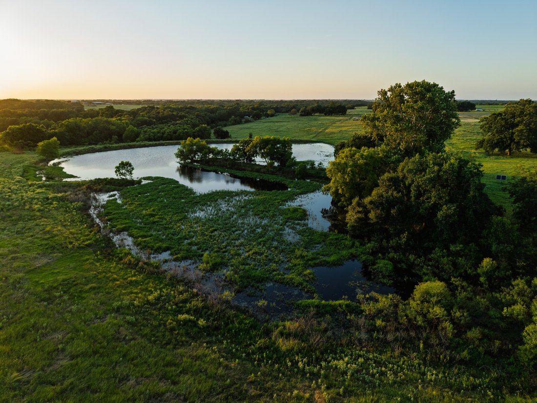 Bellville, Texas, United States 5 - 18674574