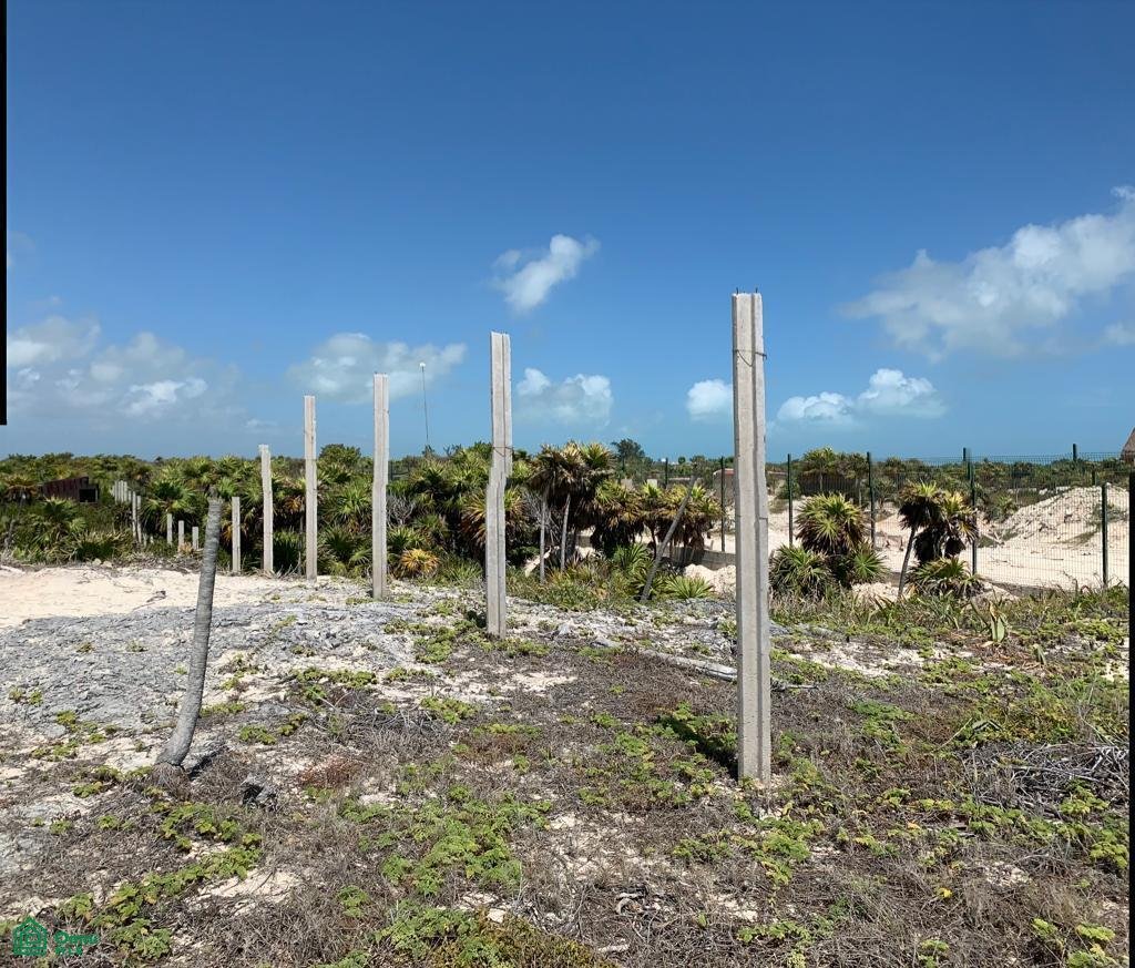 Land in Isla Blanca, Quintana Roo, Mexico 3 - 18208169