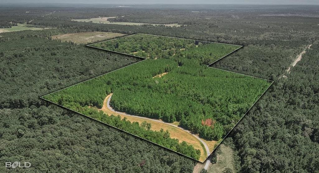 Farm Ranch in Mansfield, Louisiana, United States 3 - 18677191