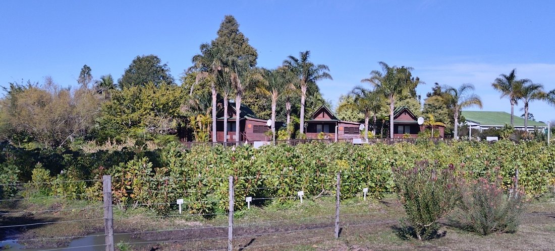 Farm Ranch in Braamfontein, Gauteng, South Africa 3 - 18676108