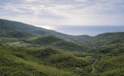 Land in Estrada, Guanacaste Province, Costa Rica 1