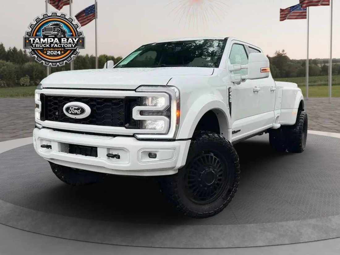 Pickup in Tampa, FL, United States 1 - 18424573