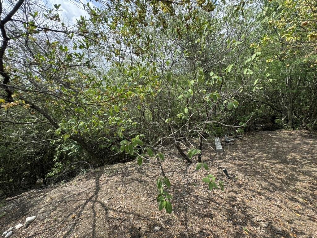 Land in Monterrey, Nuevo Leon, Mexico 4 - 18675081