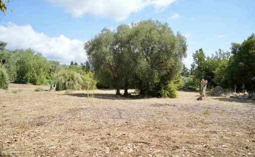Land in Sud, Roquefort-les-Pins, France 1