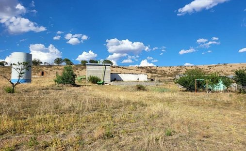 Land in El Bellotal, Chihuahua, Mexico 1