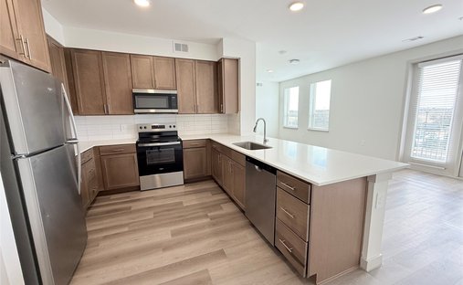 House in Frisco, Texas, United States 1
