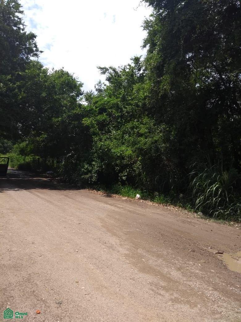 Land in Puerto Vallarta, Jalisco, Mexico 3 - 17810836