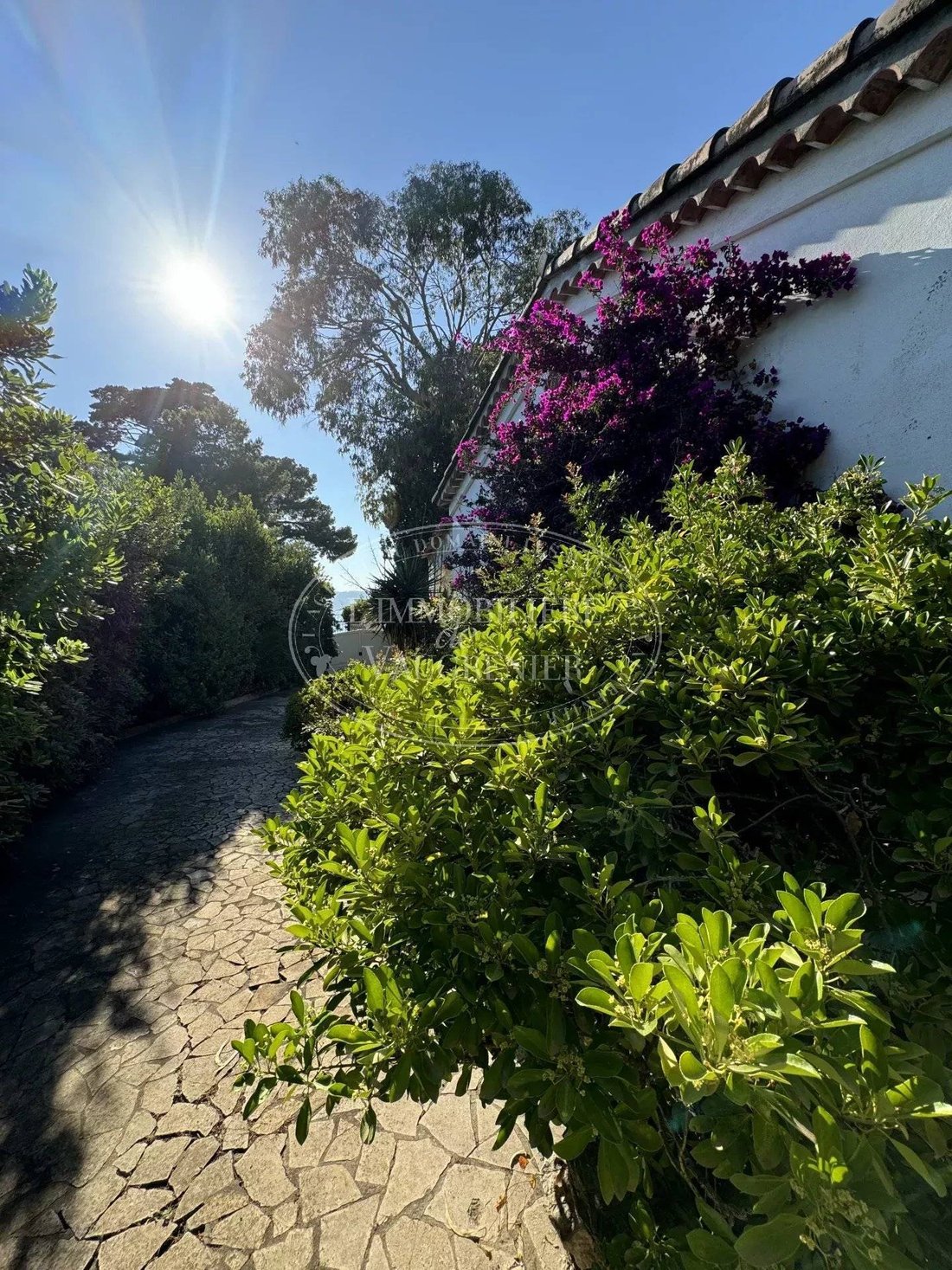 Villa in Les Bastides, Antibes, France 4 - 16012481