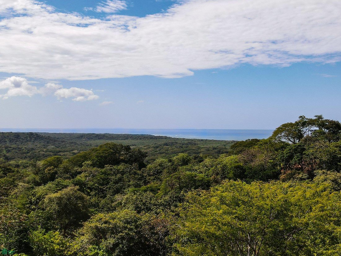Land in Tamarindo, Guanacaste Province, Costa Rica 2 - 17811379