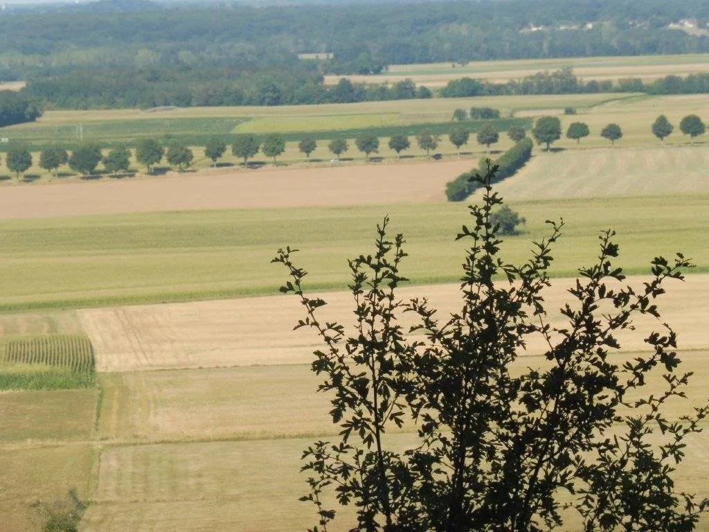 House in Pont-d'Ain, Auvergne-Rhône-Alpes, France 4 - 16255683