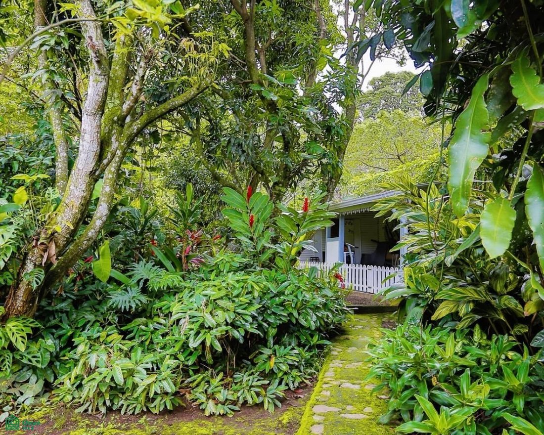 House in Río Oro, San José Province, Costa Rica 3 - 18565010