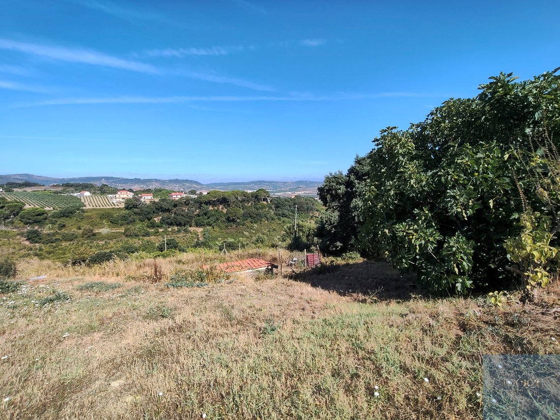 Land in Arruda dos Vinhos, Lisbon, Portugal 1 - 18677881