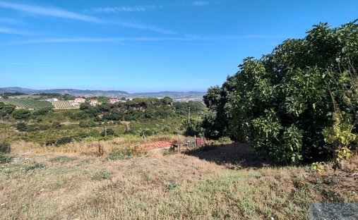 Land in Arruda dos Vinhos, Lisbon, Portugal 1