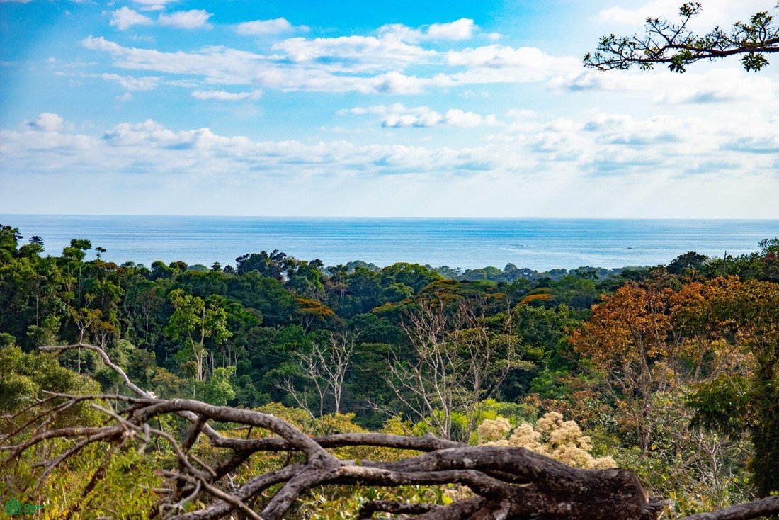 Land in Uvita, Puntarenas Province, Costa Rica 5 - 17908831