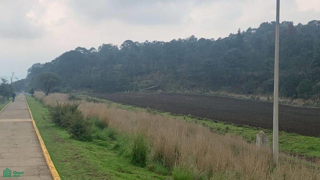 Land in San Miguel Ajusco, Mexico City, Mexico 4 - 17811501