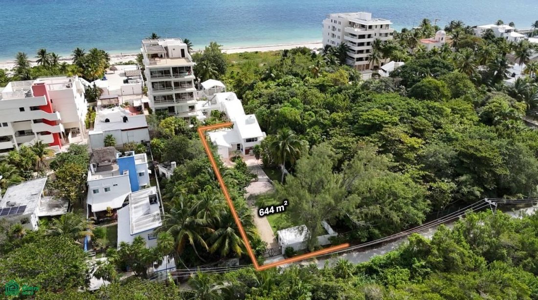 Land in Puerto Morelos, Quintana Roo, Mexiko 1 - 17811023