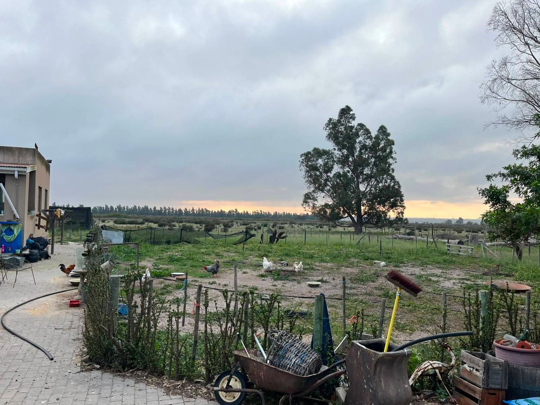Farm Ranch in Hopefield, Western Cape, South Africa 3 - 18675275