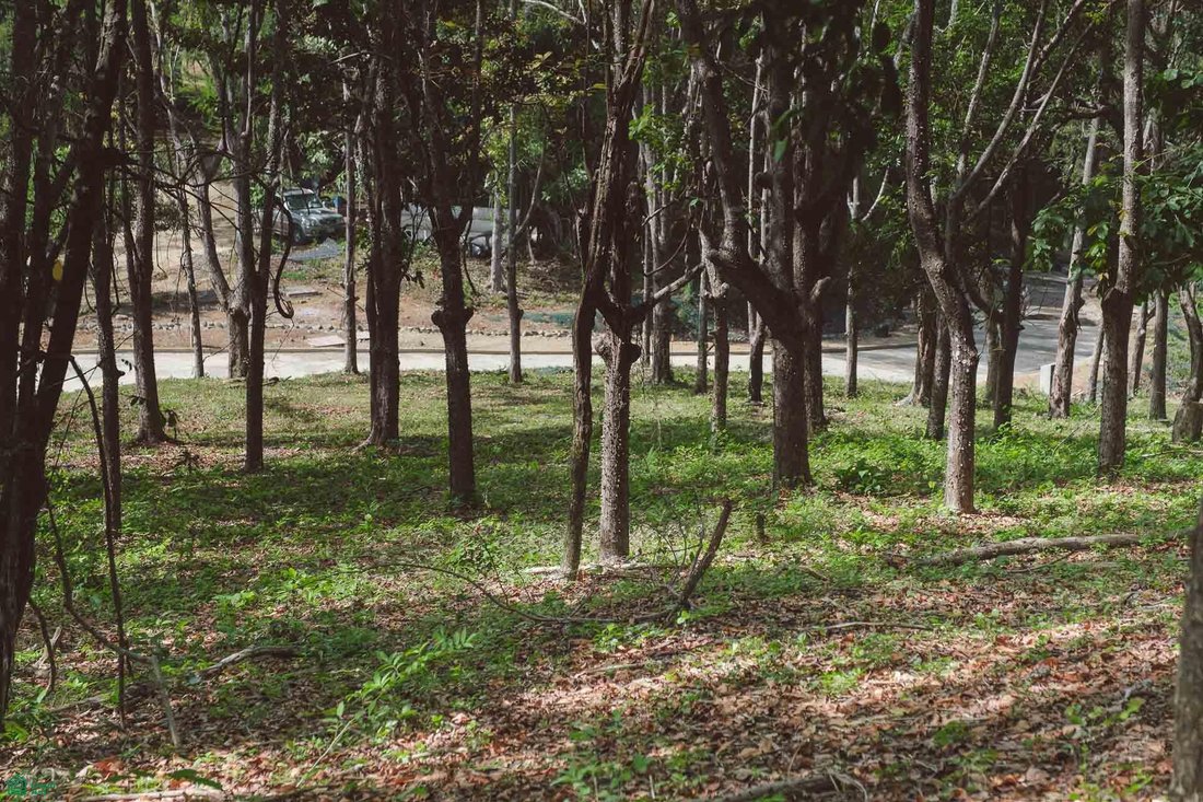 Land in Cuajiniquil, Santa Cruz, Costa Rica 3 - 18183023