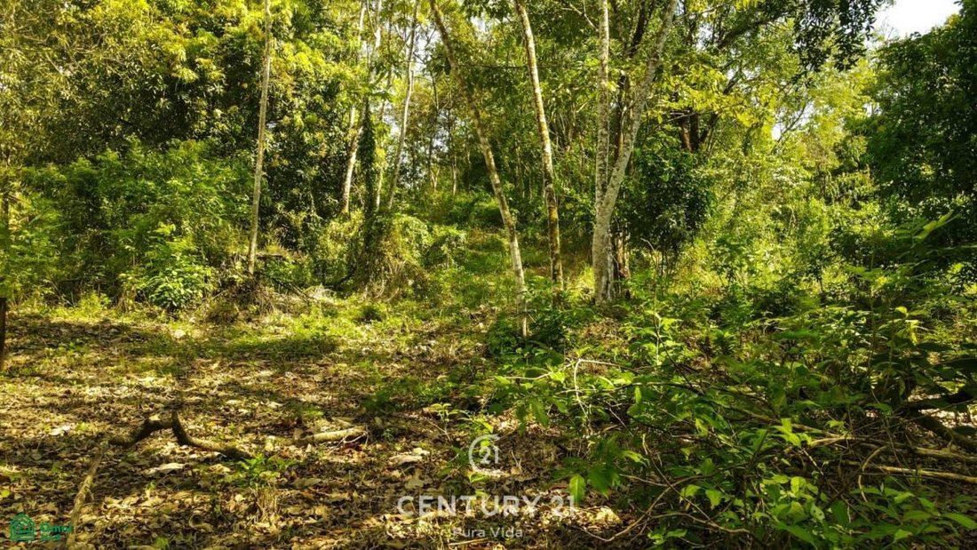 Land in San Mateo, Guanacaste Province, Costa Rica 3 - 17804216