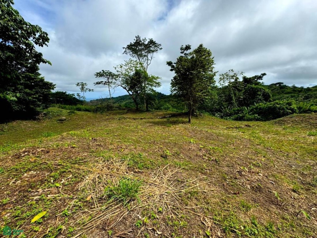 Terreno en Savegre, Provincia de Puntarenas, Costa Rica 3 - 17804529
