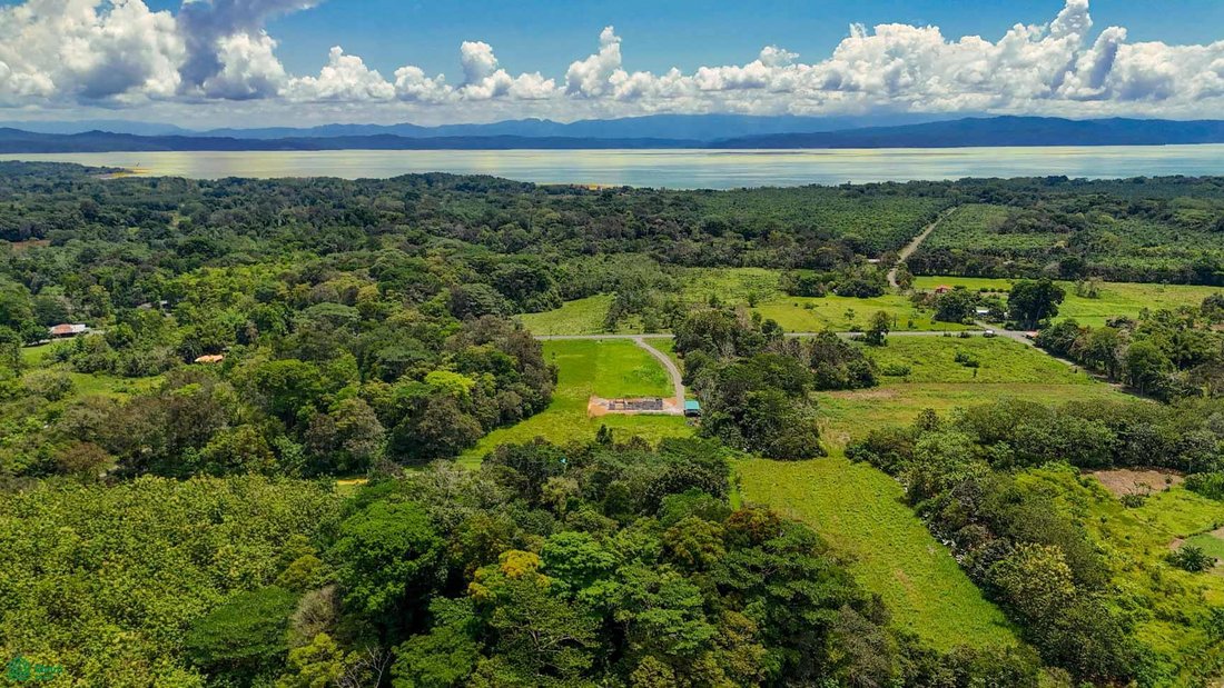 House in Puerto Jimenez, Puerto Jiménez, Costa Rica 3 - 18044393