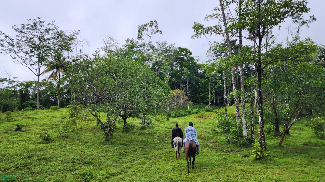 Land in Katira, Guatuso, Costa Rica 4 - 17851260