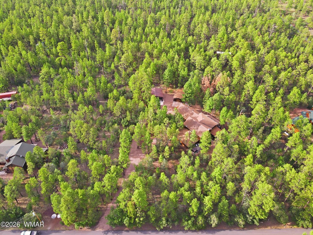 Pinetop-Lakeside, Arizona, United States 2 - 18675685