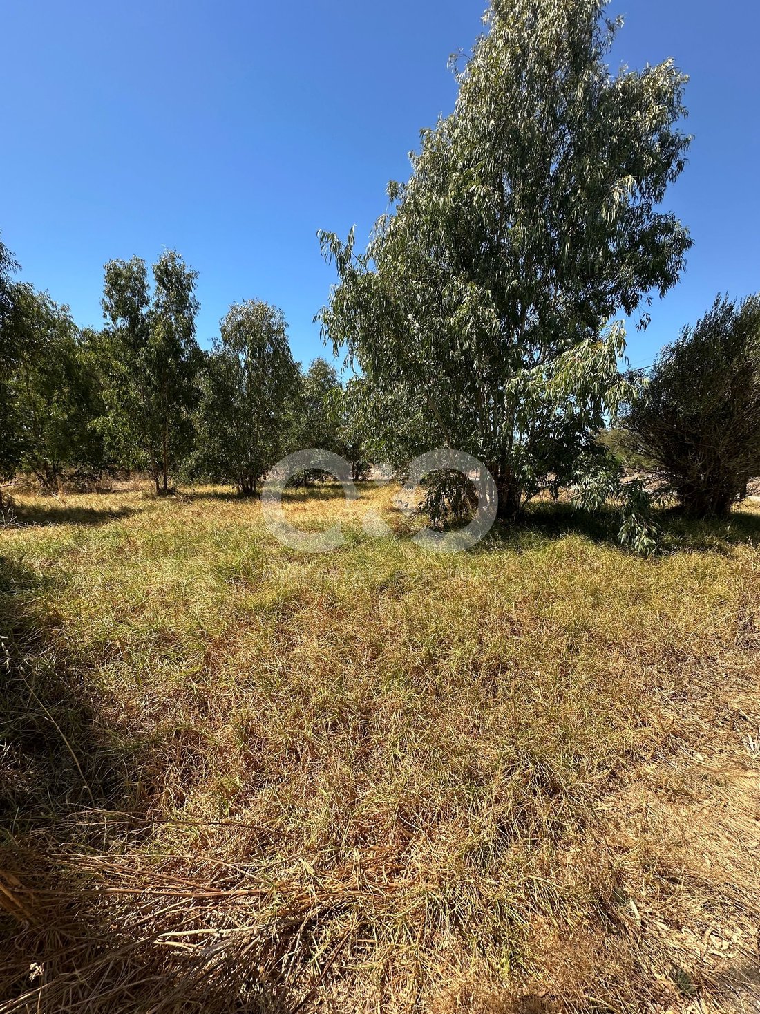 Land in Alvor, Algarve, Portugal 2 - 18677949