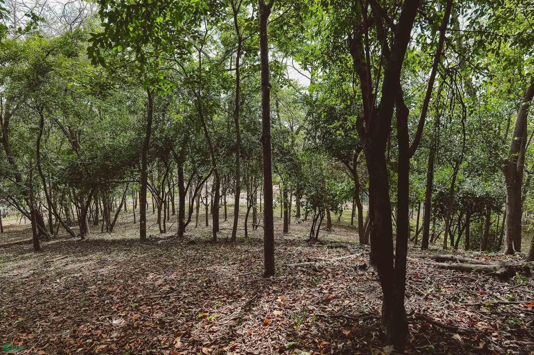 Land in Cuajiniquil, Santa Cruz, Costa Rica 1 - 18183023