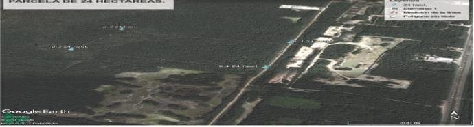 Land in Puerto Morelos, Quintana Roo, Mexico 4 - 18243931