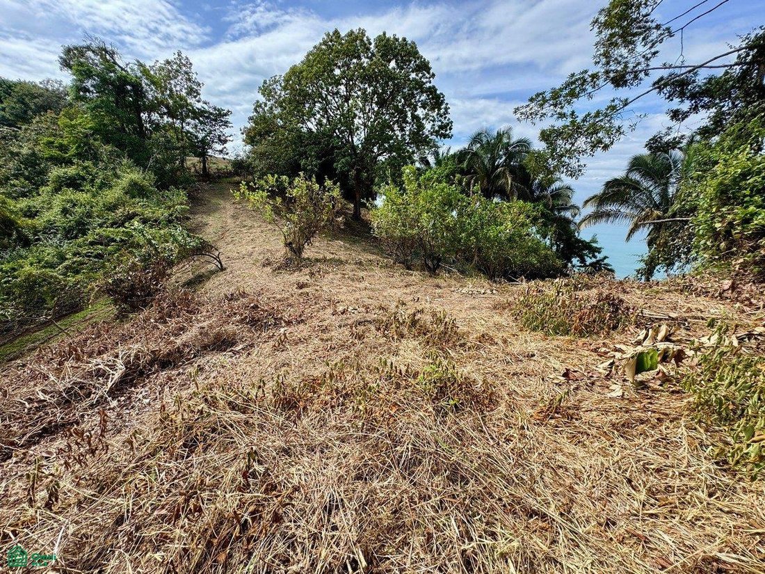 Land in Savegre de Aguirre, Puntarenas Province, Costa Rica 3 - 17804518