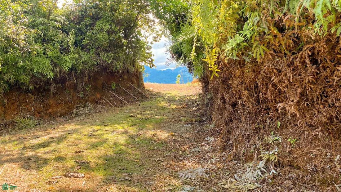 House in Balsar, Puntarenas Province, Costa Rica 4 - 18243917