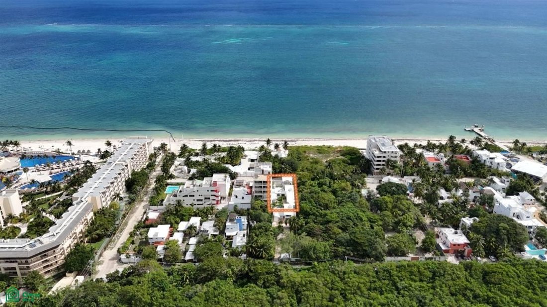 Land in Puerto Morelos, Quintana Roo, Mexico 1 - 17811026