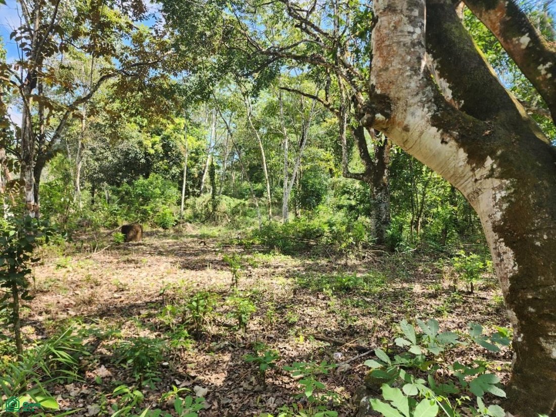 Land in San Mateo, Guanacaste Province, Costa Rica 4 - 17804216