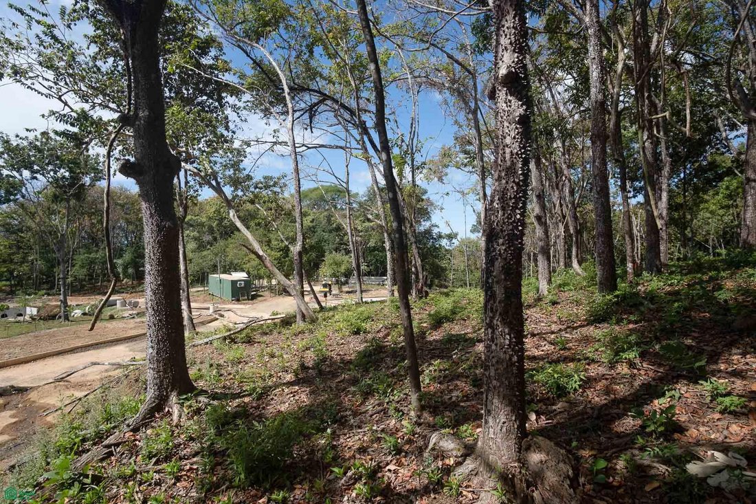 Land in Cuajiniquil, Santa Cruz, Costa Rica 1 - 18183023