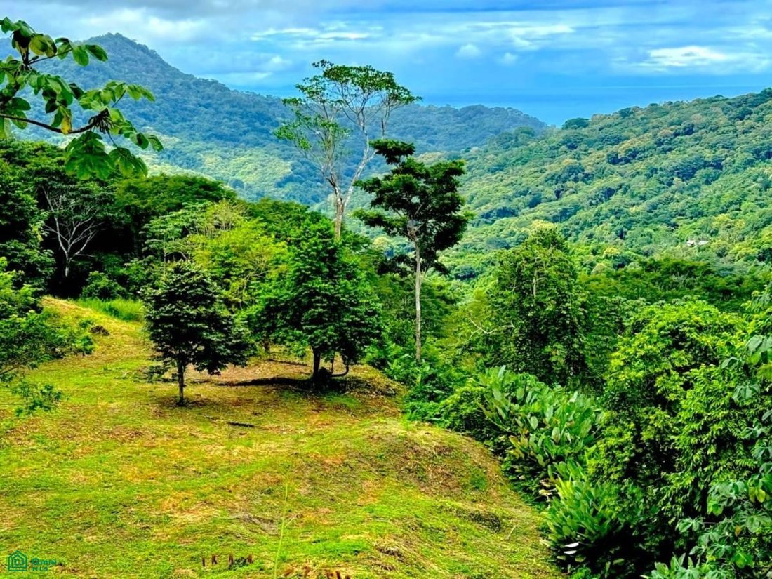 Terreno en Savegre, Provincia de Puntarenas, Costa Rica 2 - 17804529