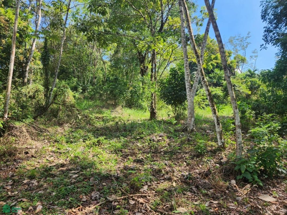 Land in San Mateo, Guanacaste Province, Costa Rica 5 - 17804216