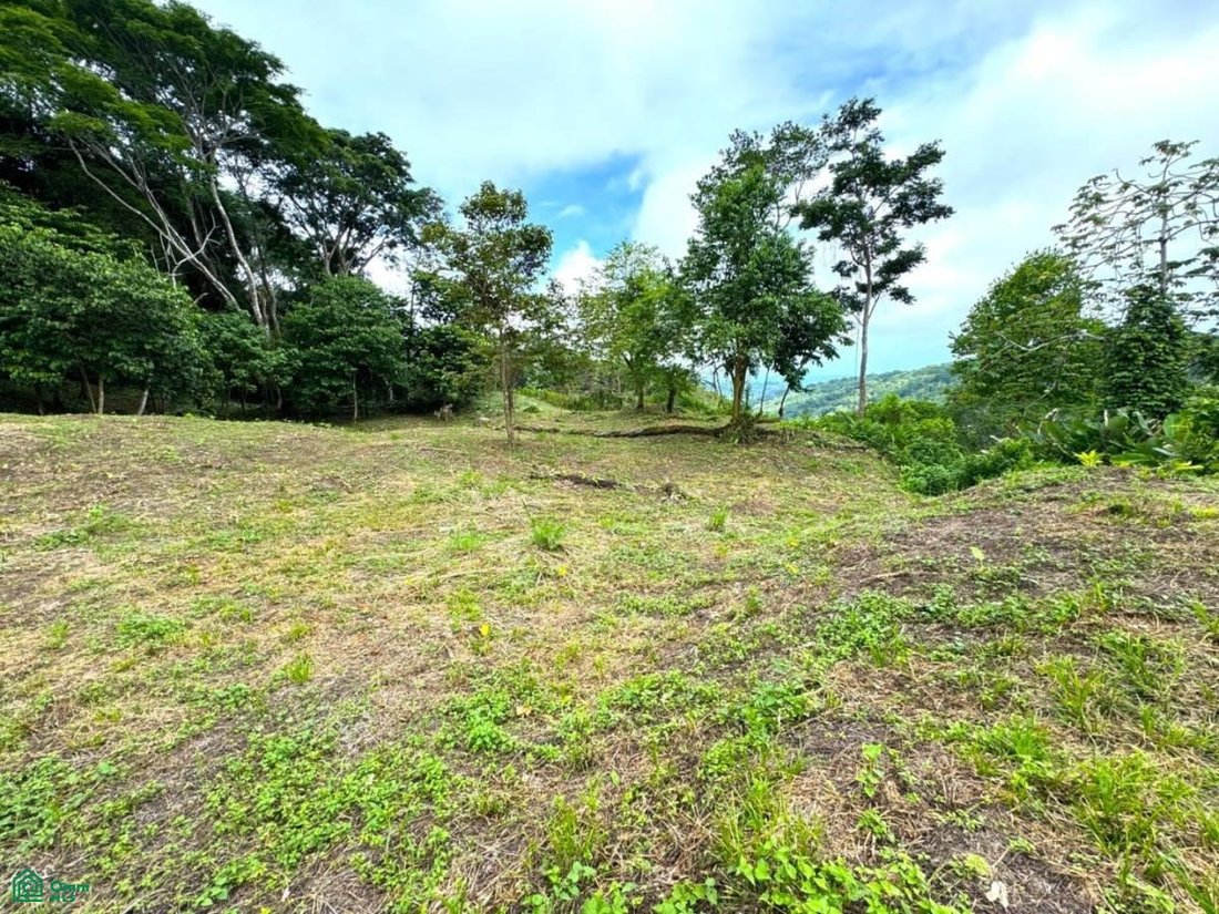 Terreno en Savegre, Provincia de Puntarenas, Costa Rica 4 - 17804529