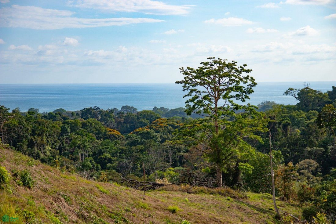 Land in Uvita, Puntarenas Province, Costa Rica 2 - 17908831