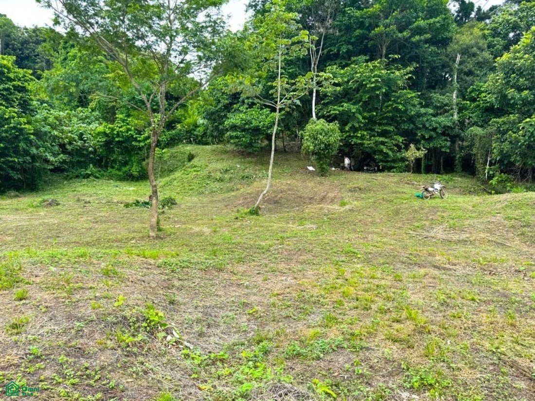 Terreno en Savegre, Provincia de Puntarenas, Costa Rica 5 - 17804529