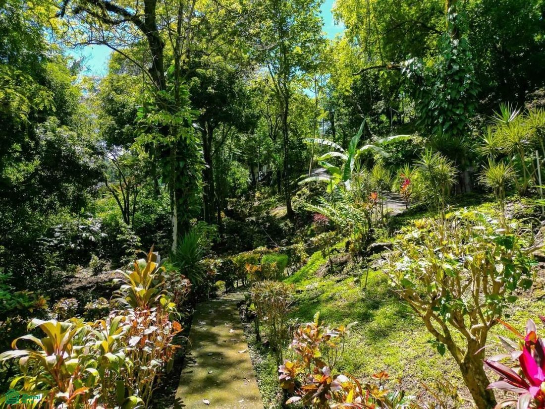 Casa en Quepos, Provincia de Puntarenas, Costa Rica 3 - 17088848