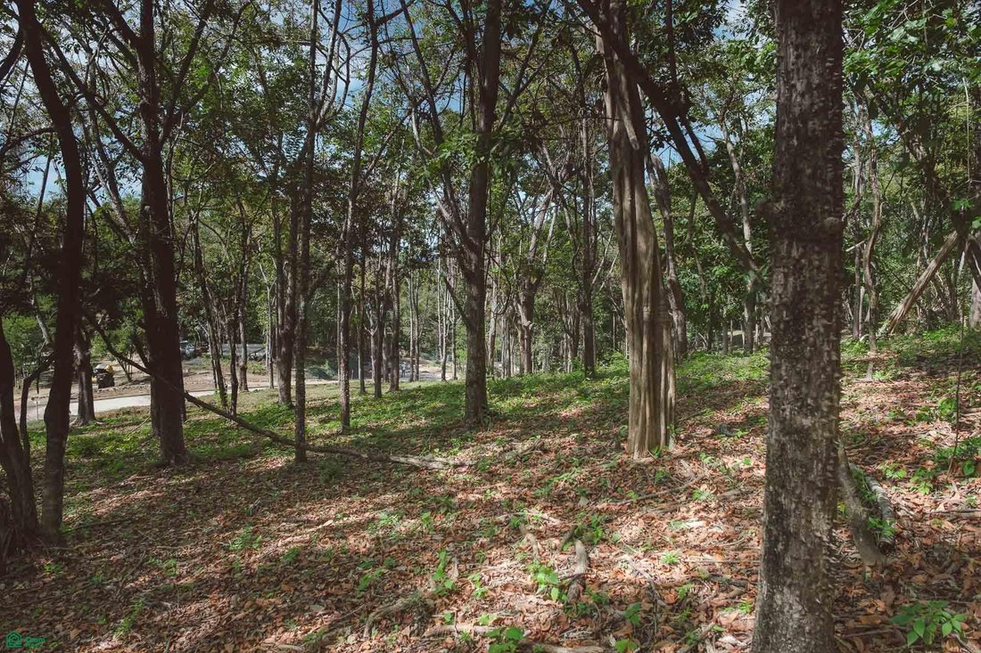 Land in Cuajiniquil, Santa Cruz, Costa Rica 5 - 18183023