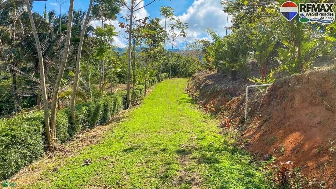 House in Balsar, Puntarenas Province, Costa Rica 4 - 18332694