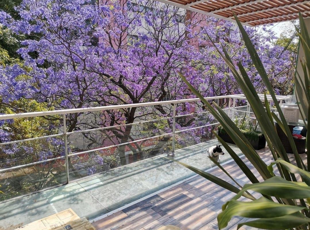 Apartment in Mexico City, Mexico 1 - 18675318