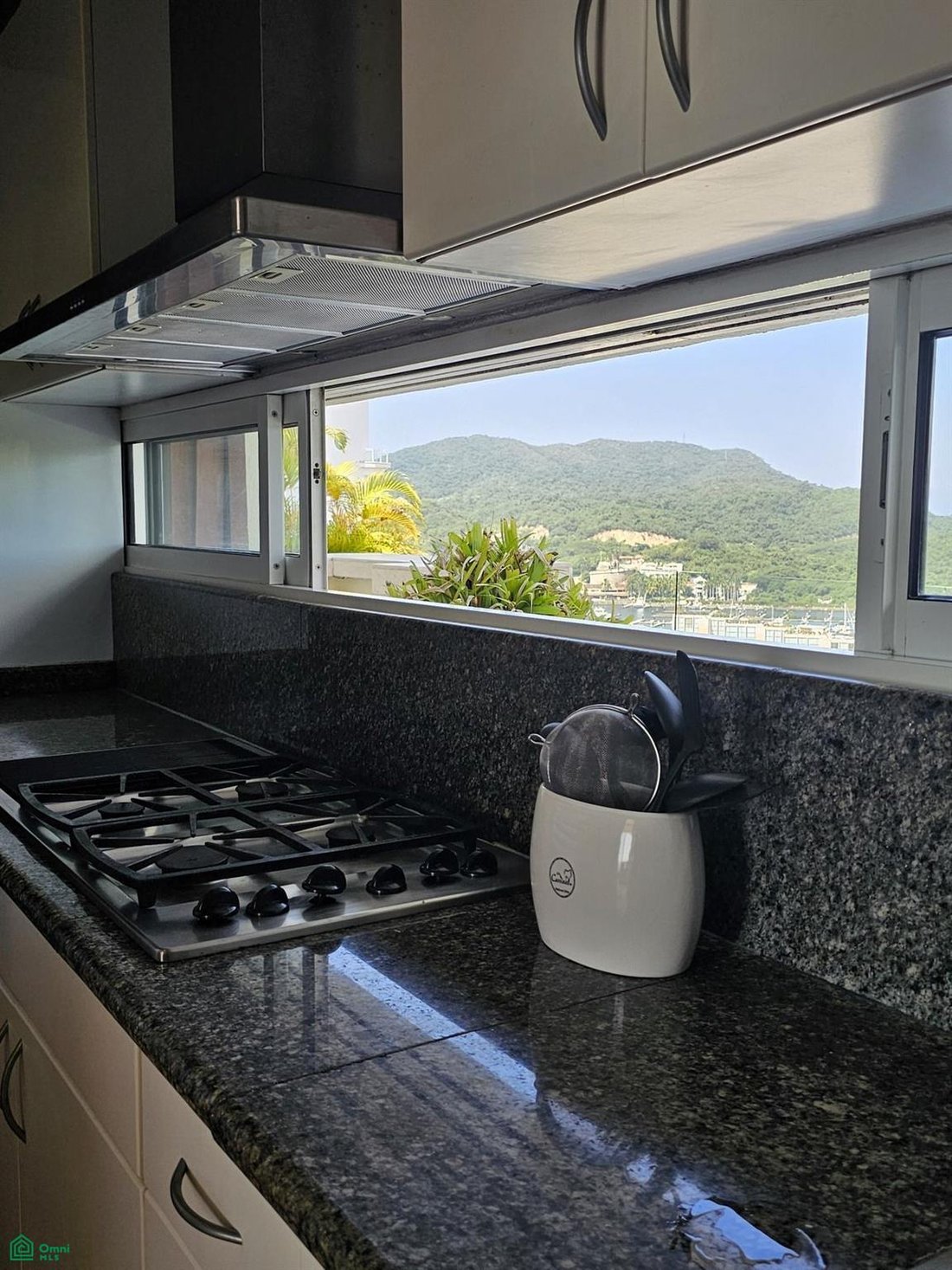 Condo in Ixtapa Zihuatanejo, Guerrero, Mexico 5 - 17504112