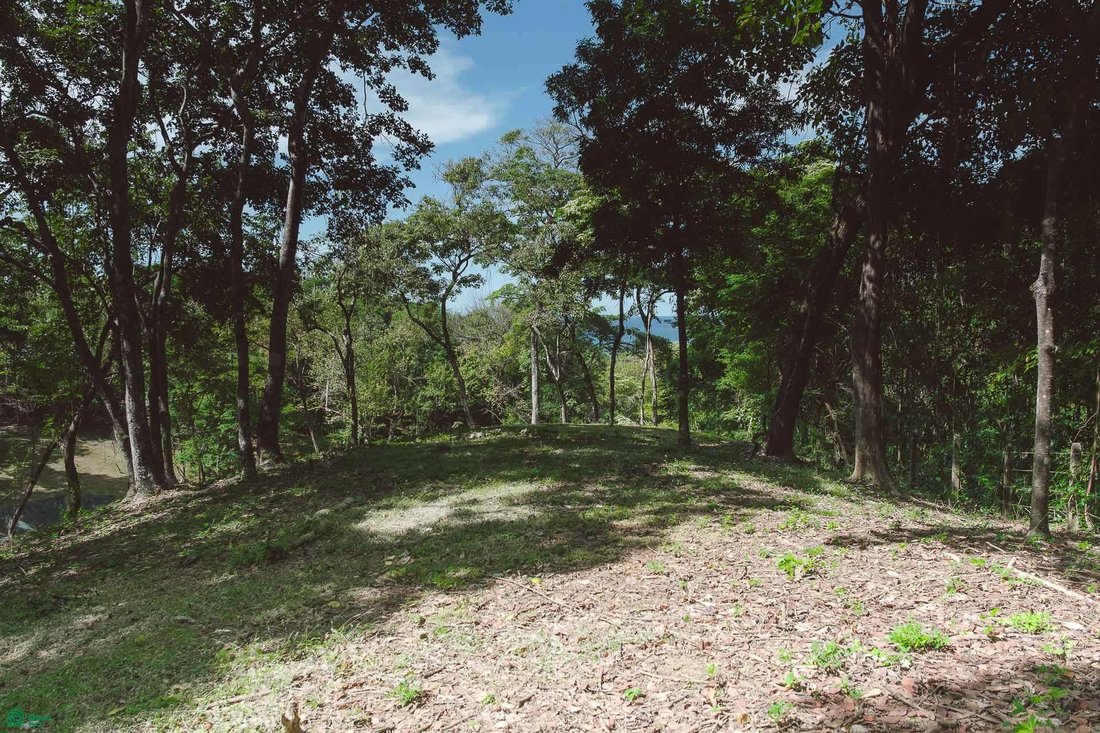 Land in Cuajiniquil, Santa Cruz, Costa Rica 5 - 18459634