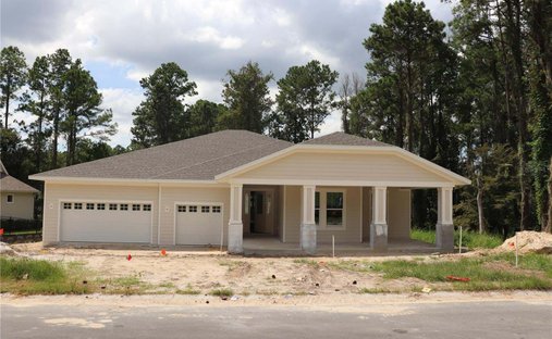 House in South Brooksville, Florida, United States 1