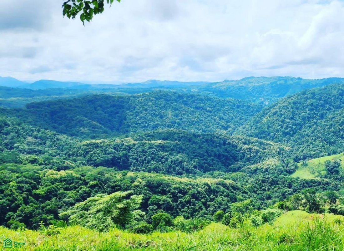 Terreno en Carara, San José, Costa Rica 4 - 17811345