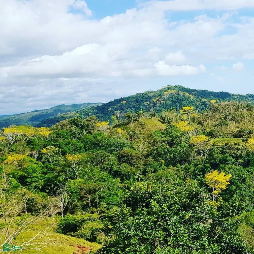 Terrain en Carara, San José, Costa Rica 2 - 17811345